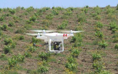 Se abre la convocatoria de ayudas para la creación y funcionamiento de Grupos Operativos de Innovación