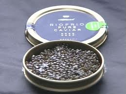 Caviar de Riofrío organiza actividades para conocer el mundo del caviar