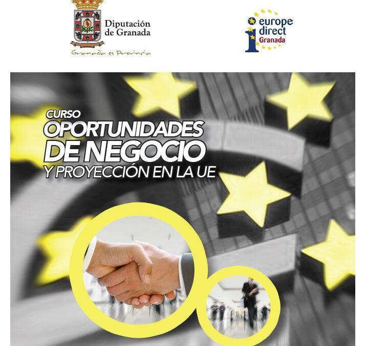 Curso “Oportunidades de Negocio y Proyección en la UE”