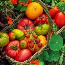 Encuentro Provincial de Productores y  Empresas del Sector Ecológico de Granada