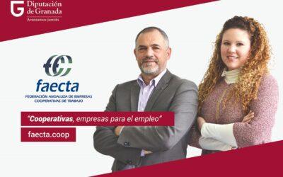 Faecta Granada: ayudando a las cooperativas para generar empleo
