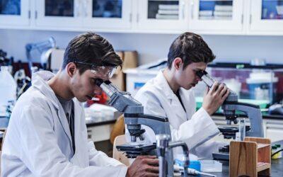 La UE busca 30 jóvenes para prácticas remuneradas en el sector alimentario