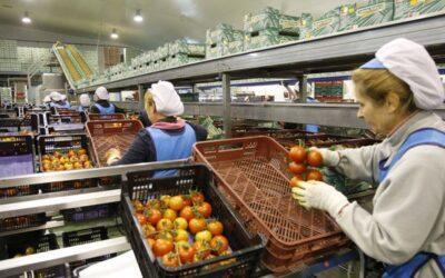 Las mujeres tienen una amplia presencia en el sector cooperativista, pero no en puestos de responsabilidad