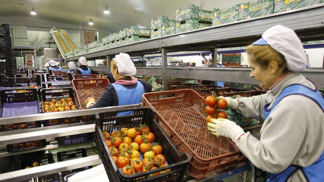 Las mujeres tienen una amplia presencia en el sector cooperativista, pero no en puestos de responsabilidad