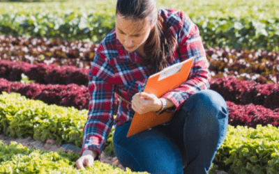 La Diputación de Granada ofrece una formación para ayudar a empresarias de la provincia en su transformación digital