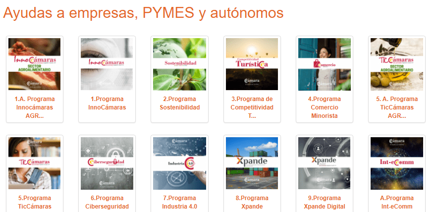 Abierto el plazo de solicitud de ayudas a pymes y autónomos de municipios de menos de 50.000 habitantes