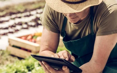 Negocios rentables para montar en pueblos